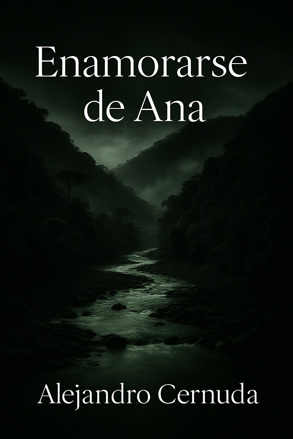 Enamorarse de Ana. Portada